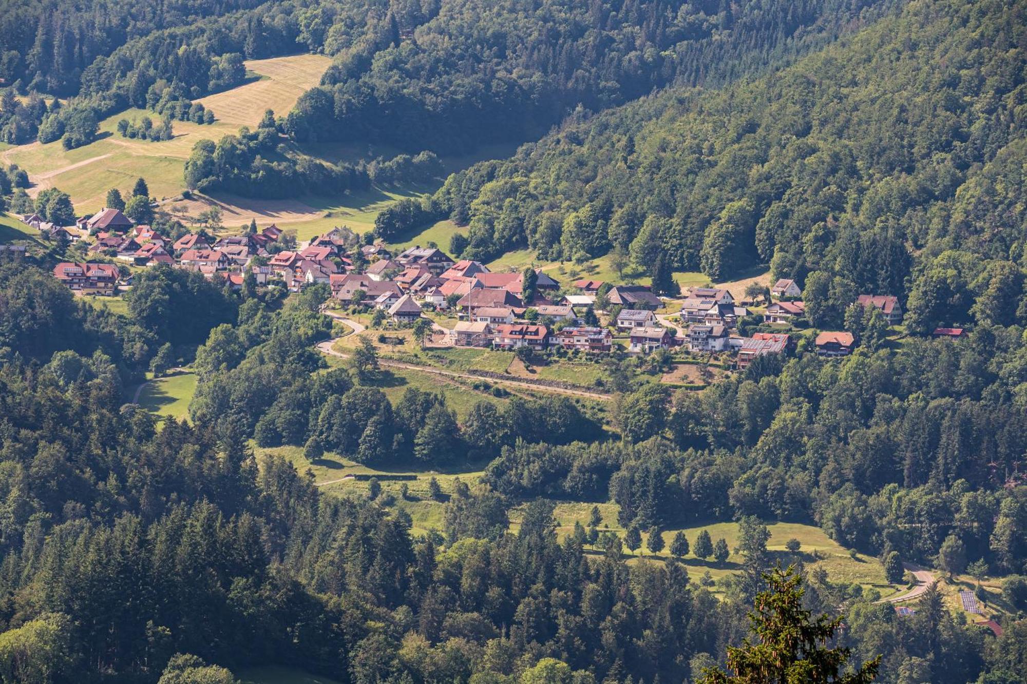 Ferienwohnung Belchenliebe Schonenberg المظهر الخارجي الصورة