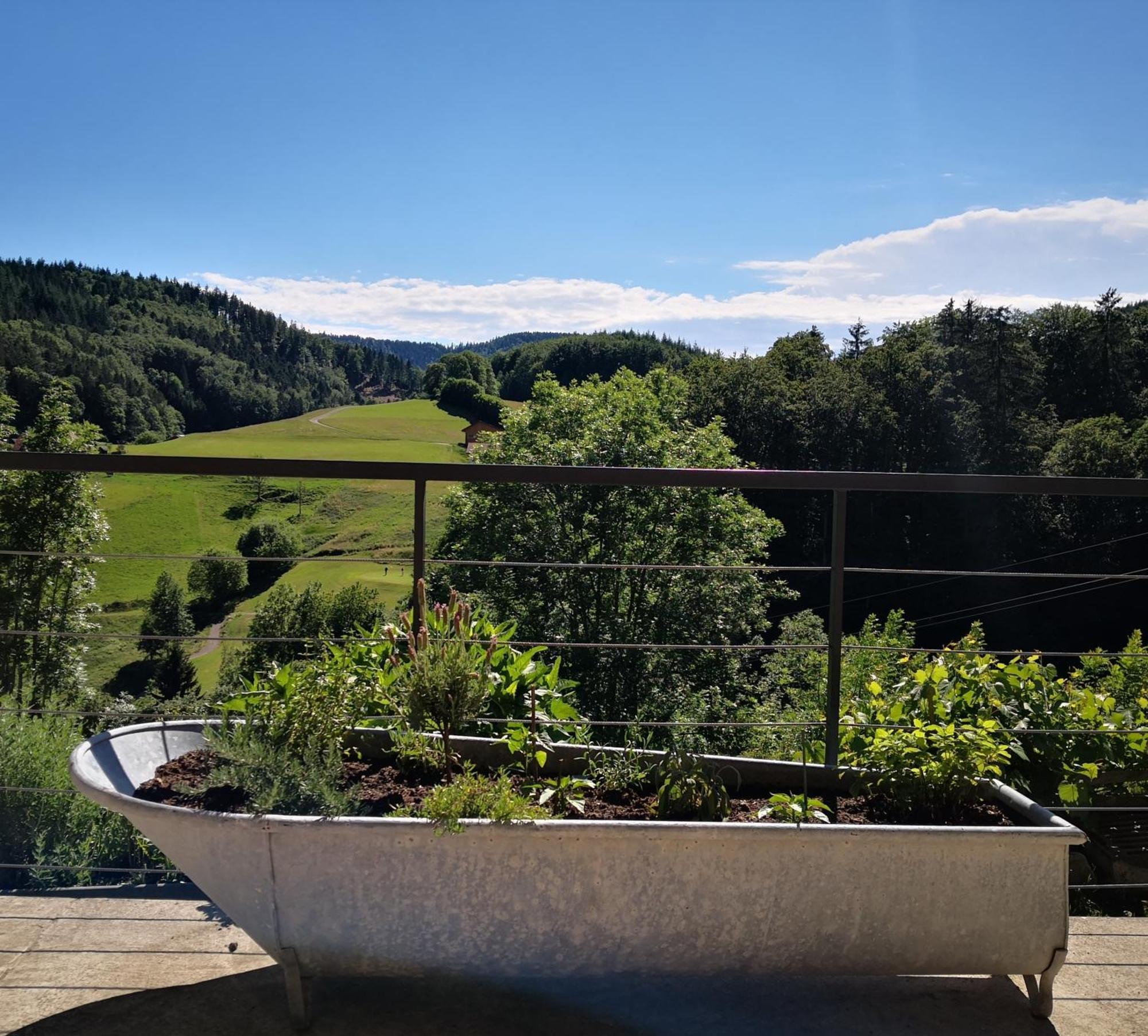 Ferienwohnung Belchenliebe Schonenberg المظهر الخارجي الصورة