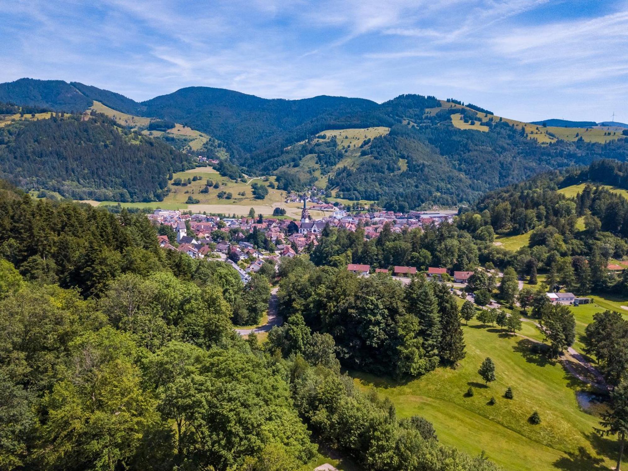 Ferienwohnung Belchenliebe Schonenberg المظهر الخارجي الصورة